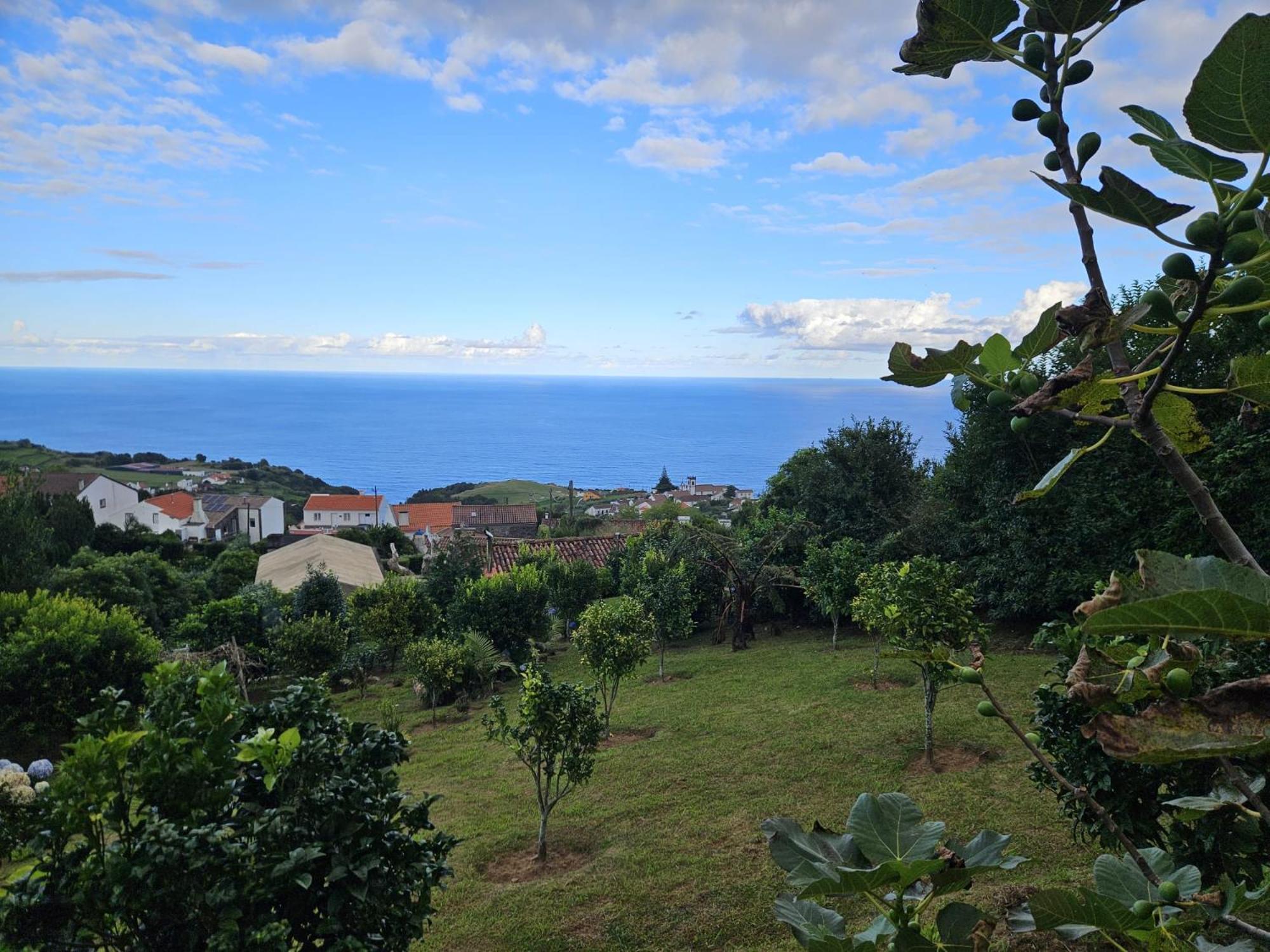 Casa Do Castanheiro - Nordeste, Acores Nordeste  Exterior foto